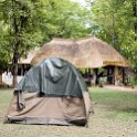 ZMB EAS SouthLuangwa 2016DEC10 WildlifeCamp 006  My tent will now get two full days to dry out. : 2016, 2016 - African Adventures, Africa, Date, December, Eastern, Mfuwe, Month, Places, South Luangwa, Trips, Wildlife Camp, Year, Zambia